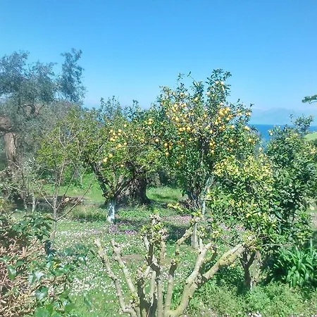 Maria's Paradise Apartman *