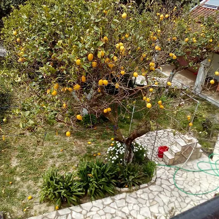 Apartman Maria's Paradise Asztrakerí