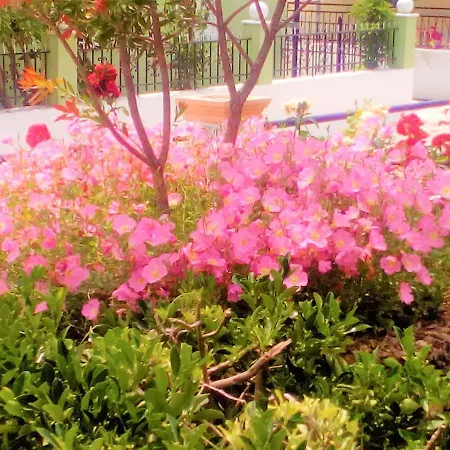 Apartman Maria's Paradise